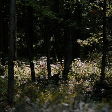 Rhinebeck Estate