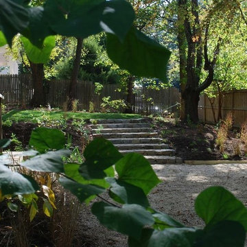 Backyard Hardscaping & Native Planting