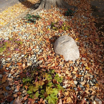 Xeriscaping