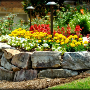 Annual Beds