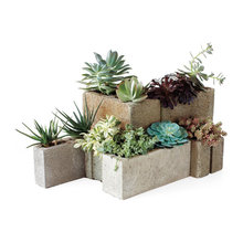 WGS 1016/1017 Balcony Garden