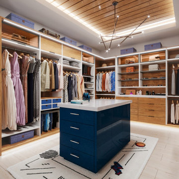 Contemporary Walk-In Closet with Blue Island