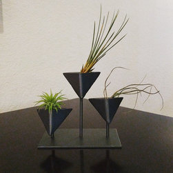 Air Plants and Planters - Home Decor