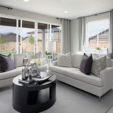 Amethyst model home in Colorado