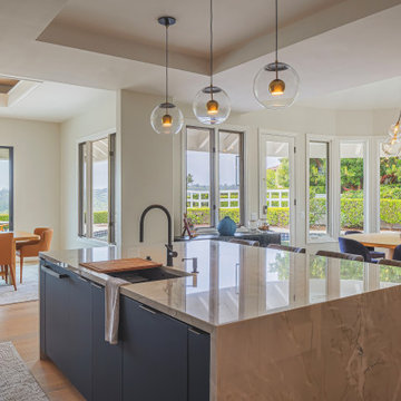 Fairbanks Ranch - Modern Elegant