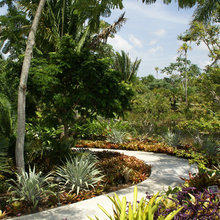 Brazilian garden