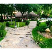 Foto de Palapa Jdf
