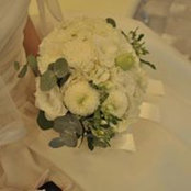 인지 강s foto