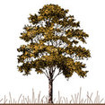 Foster Design Associates's profile photo