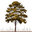Foster Design Associates