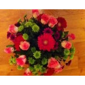 Sheryl Hagkull's photo