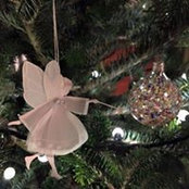 Sandy McNabb's photo