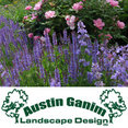 Austin Ganim Landscape Design, LLC's profile photo