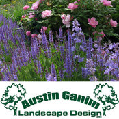 Photo de Austin Ganim Landscape Design, LLC