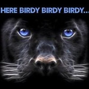 Tracy Anne's photo