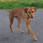 Chelsea Lee's photo