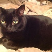 Deborah Berens's photo