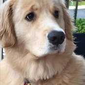 Patty Melanson's photo