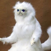 Foto de A Jandre
