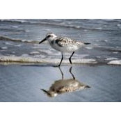 Jesse White's photo