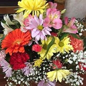 Joann Ralph's photo