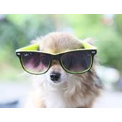 Michael Schmitt's photo