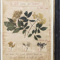 Foto di profilo di Officina Naturalis