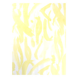 AND Fabric Collection - Products
