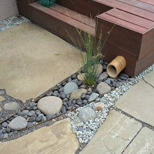 rain garden