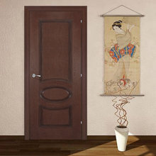 Interior Doors