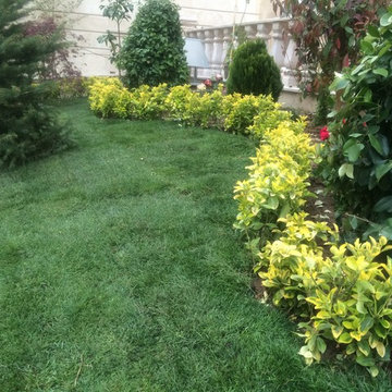 Zaferaniye,Tehran