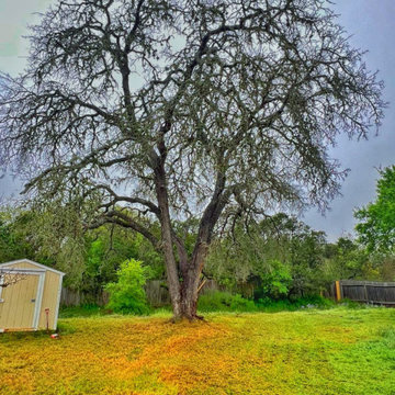 Morales Tree Services