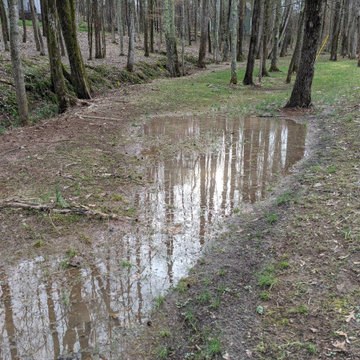 Drainage Ditch Install