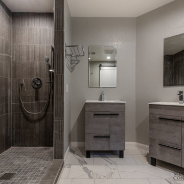 Full Bathroom Walnut Creek