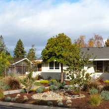 Curb Appeal