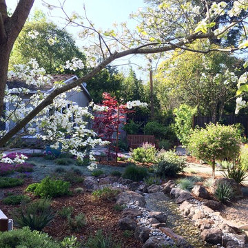 Water Features
