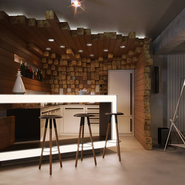 Underground Lounge in a private house