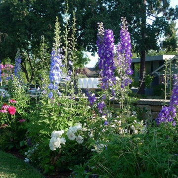 Cottage Garden Border