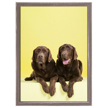 "Dog Collection, Chocolate Labs on Yellow" Mini Framed Canvas, Catherine Ledner