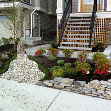 Deanwood - Front Yard