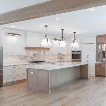 Modern Farmhouse Modified Hampton | Oak Bluff Estates Lemont, IL