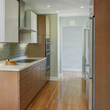 Modern Galley Kitchen Remodel