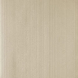 Drag DR 1216 - Wallpaper