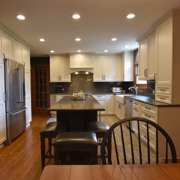 Transitional White Kitchen with Glass Highlight in Naperville