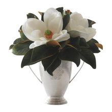 magnolia