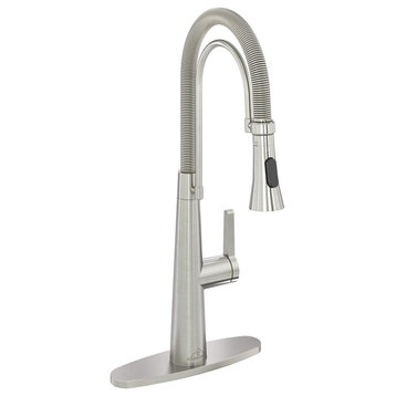 Single-Handle Spring Neck Standard Kitchen Faucet with Dual-Function, Brushed Nickel