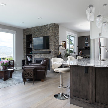 Kitchen/Living Room