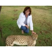 Foto von Wirdette Strauss
