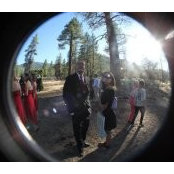 Greg Goodman's photo