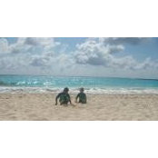 Barry Pointer's photo